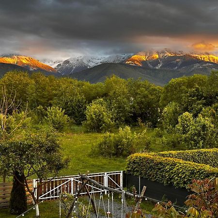 Wanderlust Cottage Avrig Eksteriør bilde